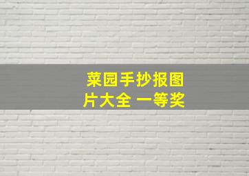 菜园手抄报图片大全 一等奖